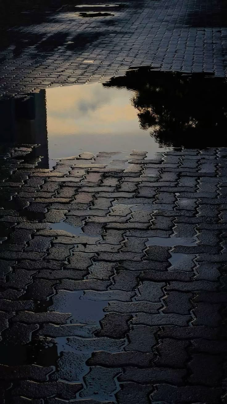 After the rain