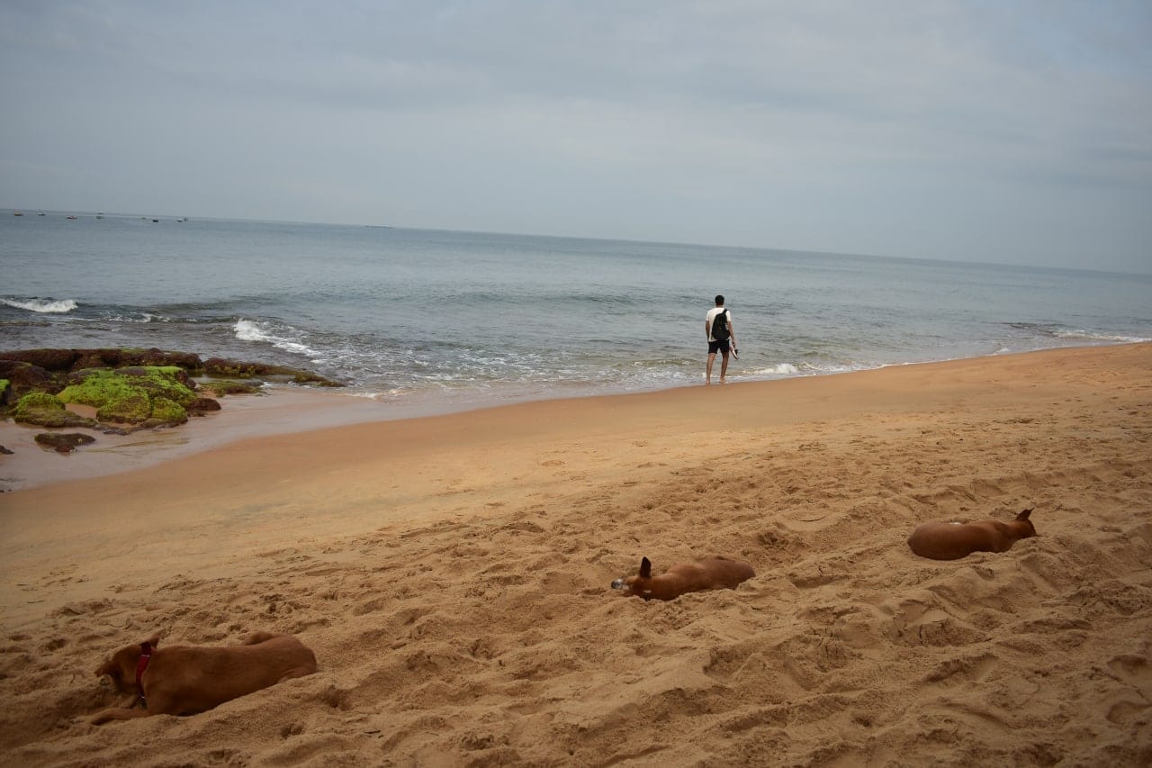 Beach walk