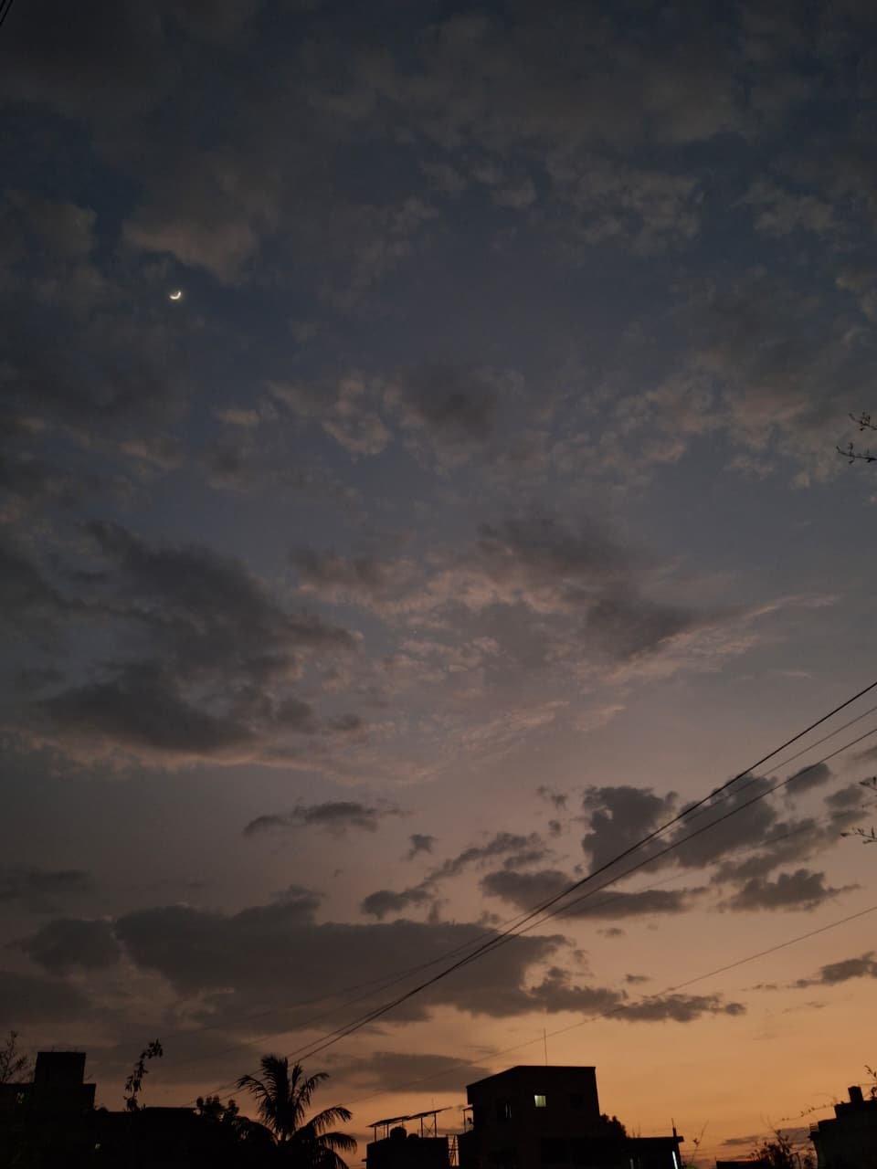 Evening