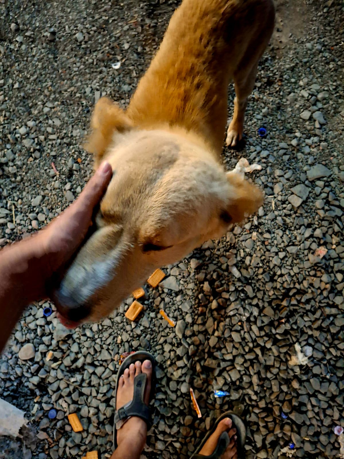 Friend